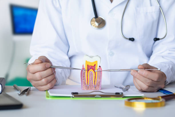 Best Urgent Tooth Repair  in Ridgeville, SC